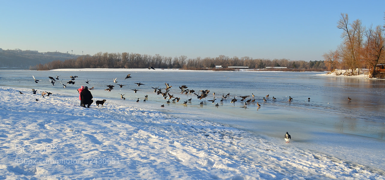 Nikon D5100 sample photo. Holiday for all photography