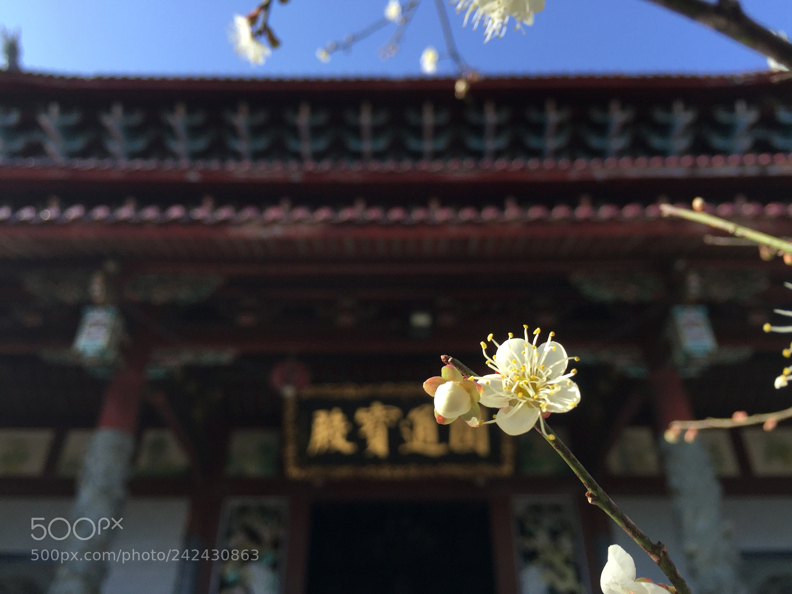 Apple iPhone 6 sample photo. 林阳寺 photography
