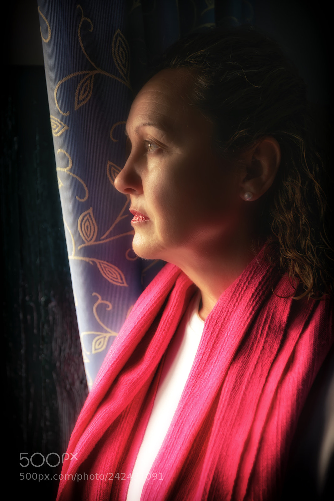 Nikon D800 sample photo. Tras la ventana photography