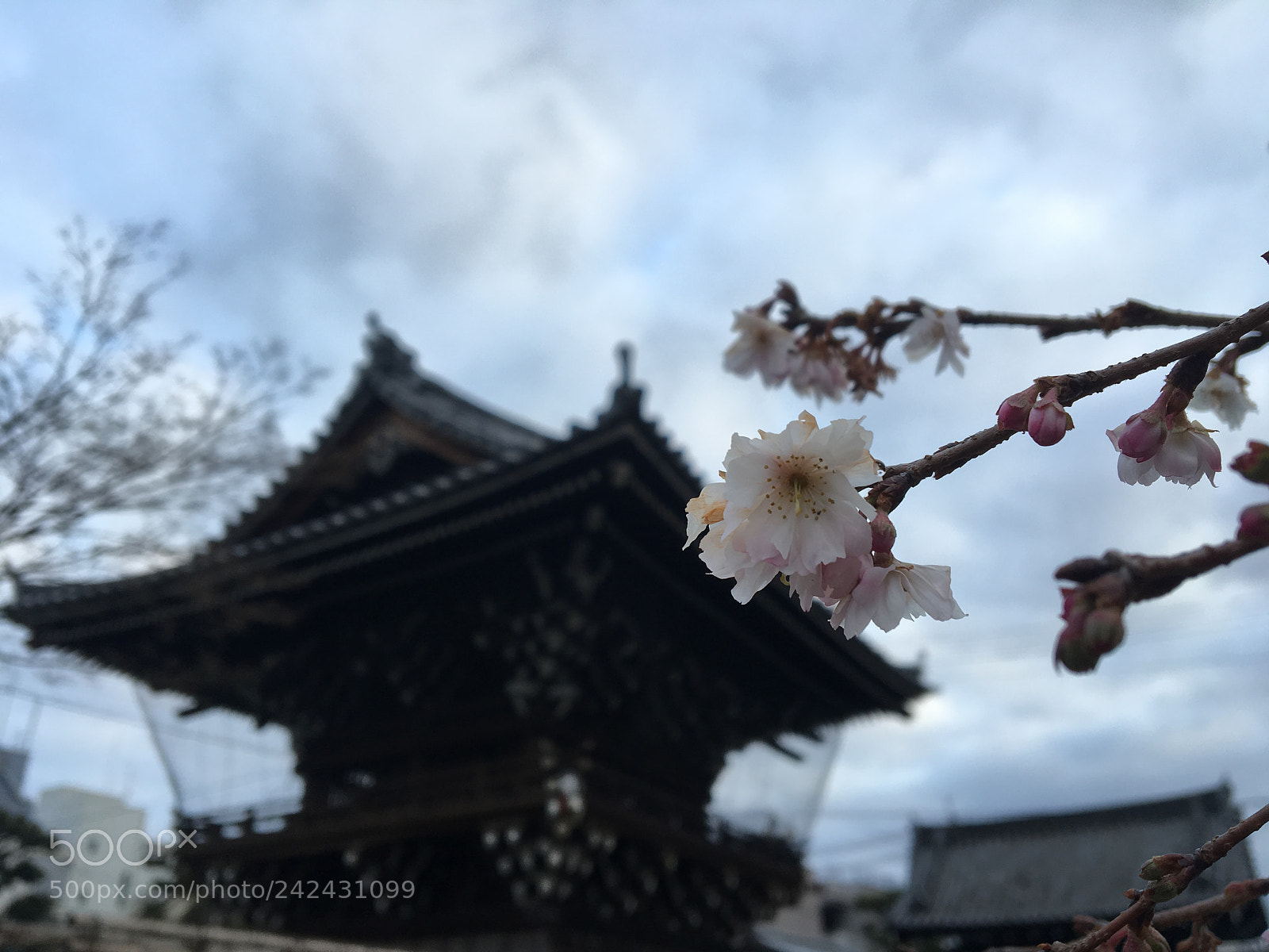 Apple iPhone 6s sample photo. Myorenji-temple, kyoto, japan. photography