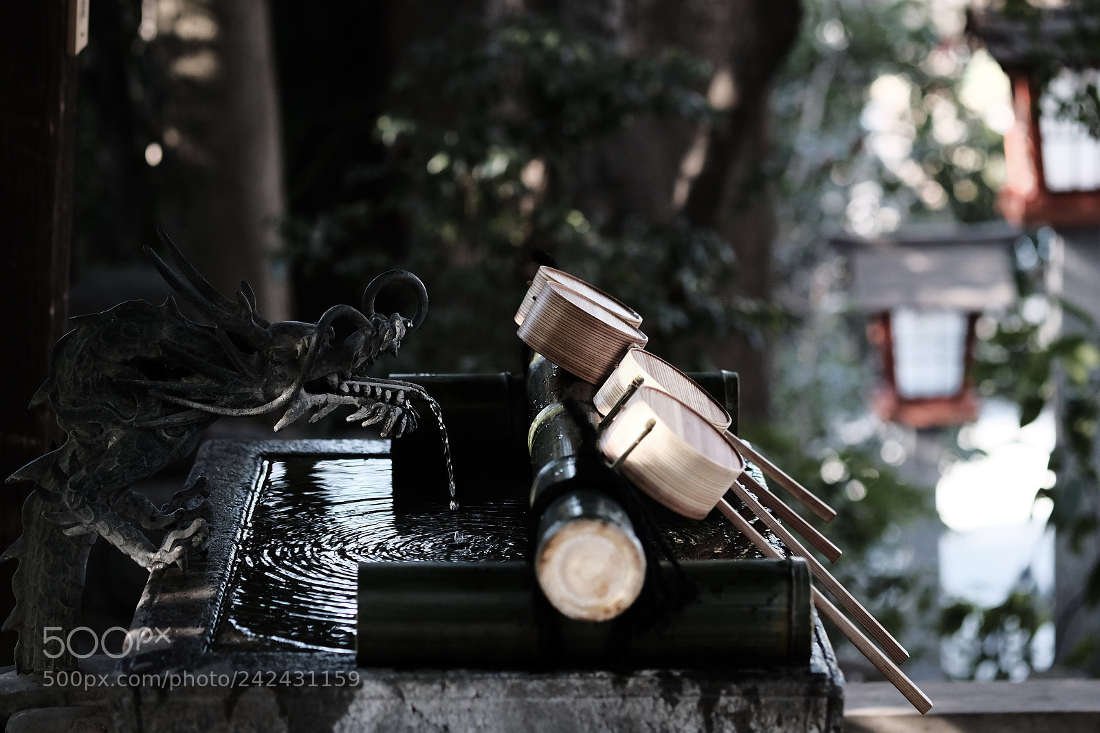 Fujifilm X-T2 sample photo. Purify photography