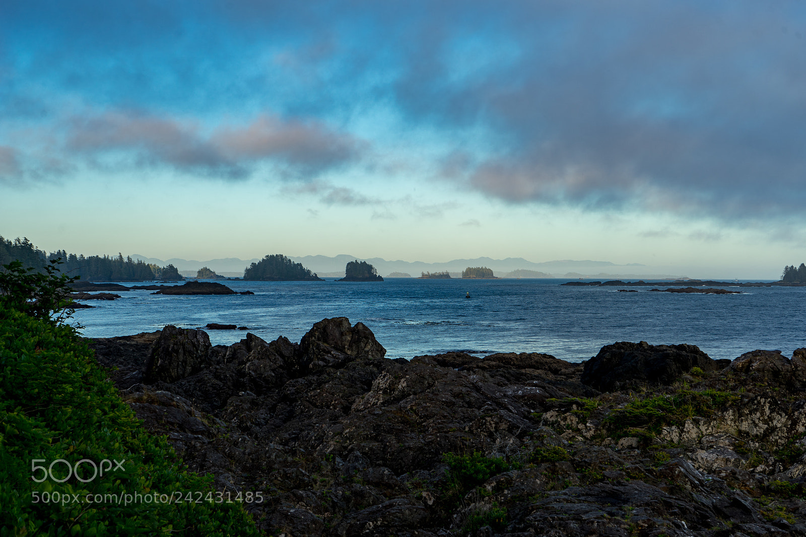 Sony a7 II sample photo. Ucluelet photography