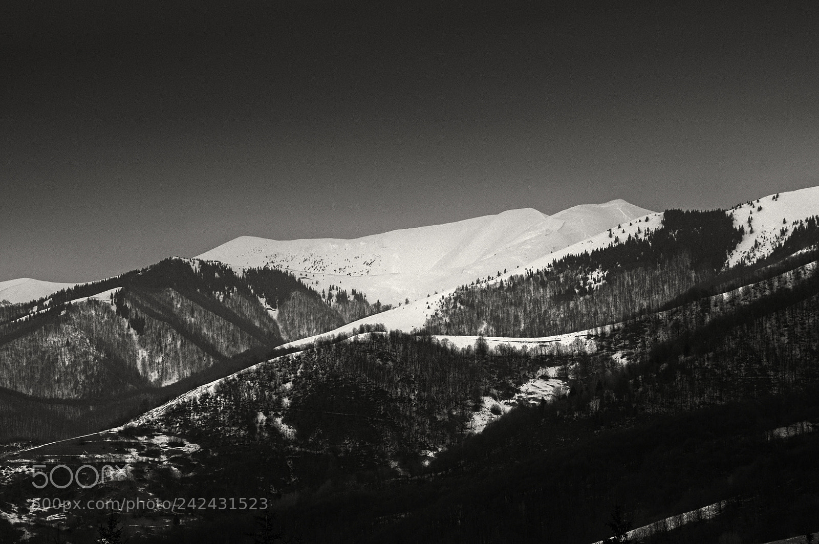 Nikon D90 sample photo. Winter photography