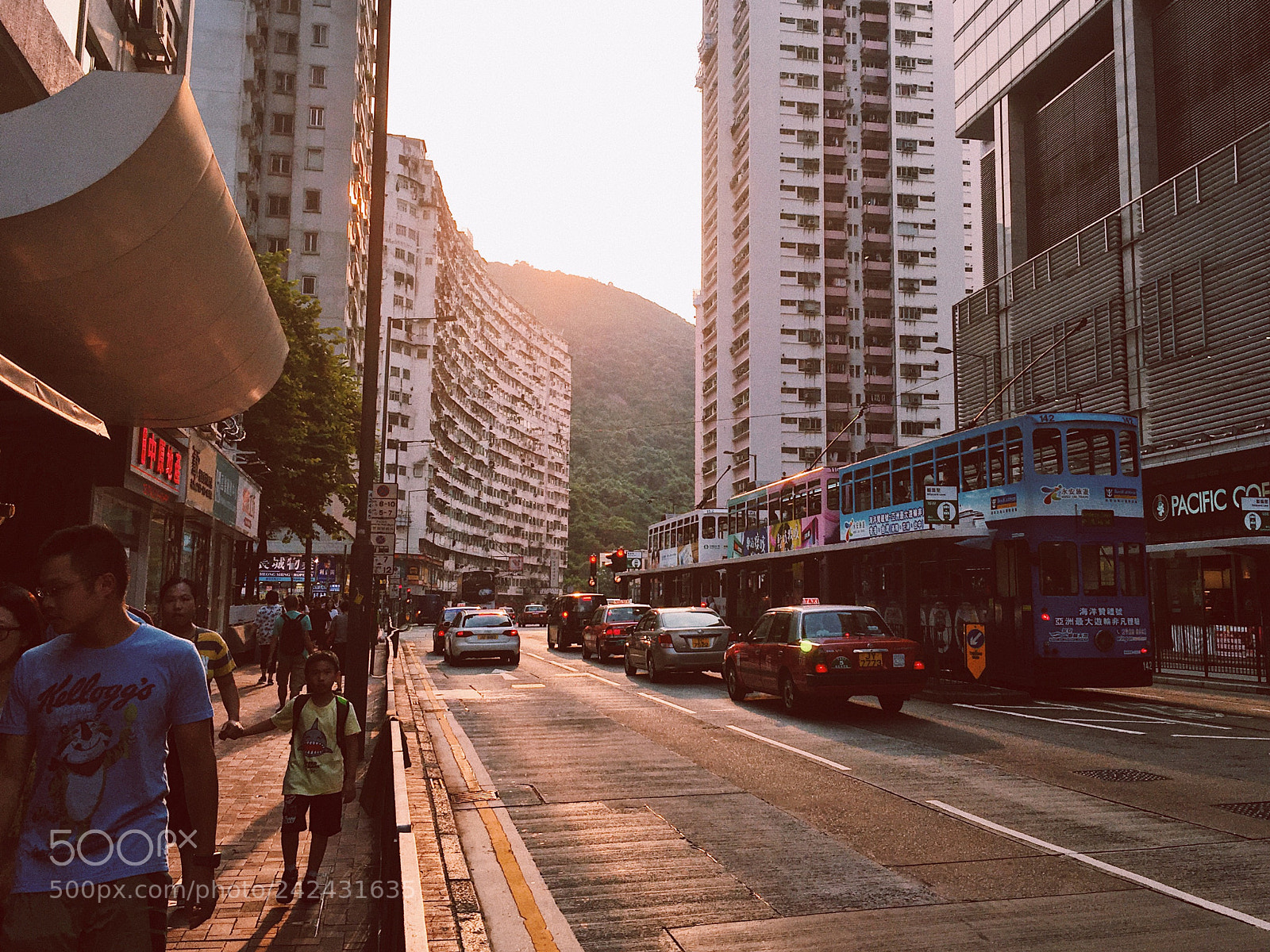Apple iPhone 6 sample photo. Golden hour photography