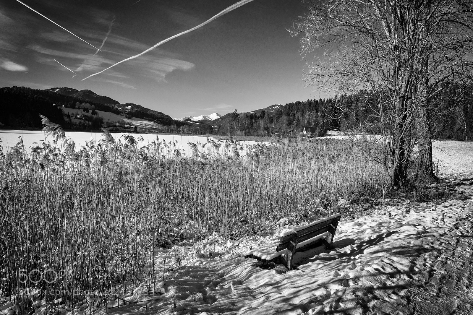 Sony a7 sample photo. Bench covered with snow photography