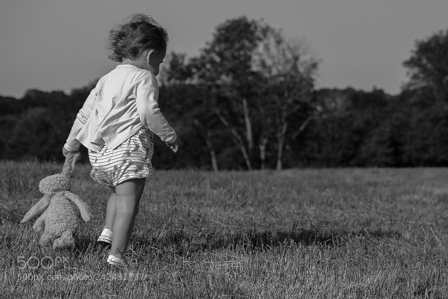 Fujifilm X-T1 sample photo. Untitled photography