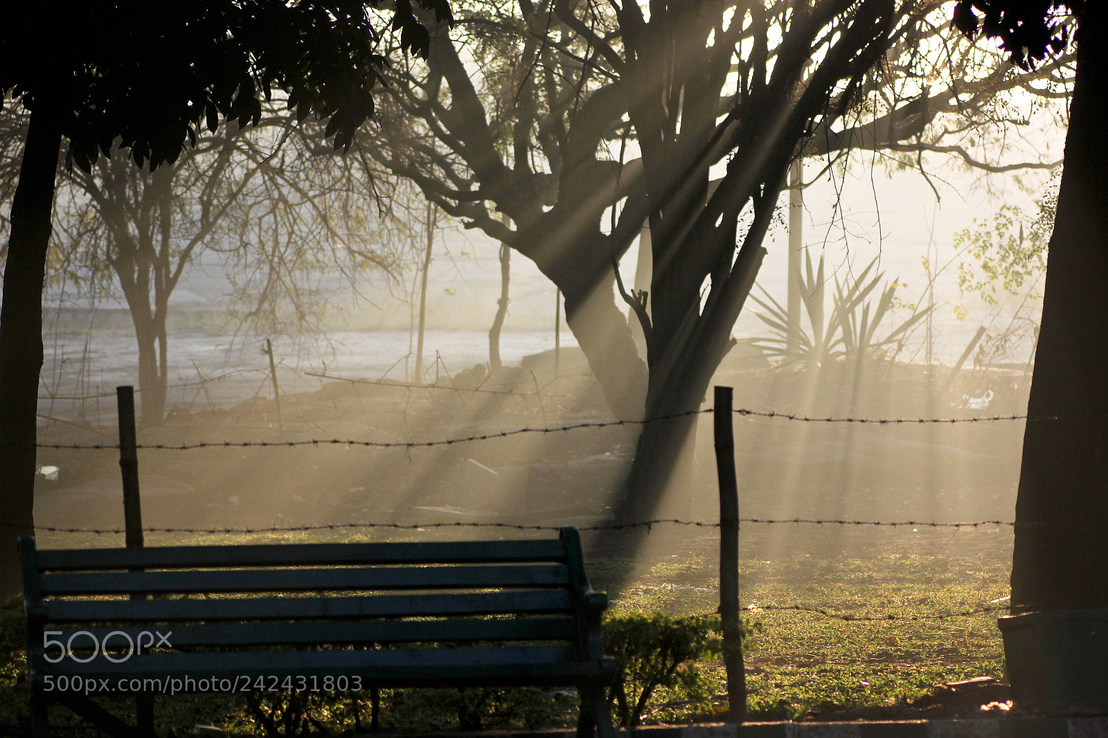 Canon EOS 550D (EOS Rebel T2i / EOS Kiss X4) sample photo. Sun shower photography