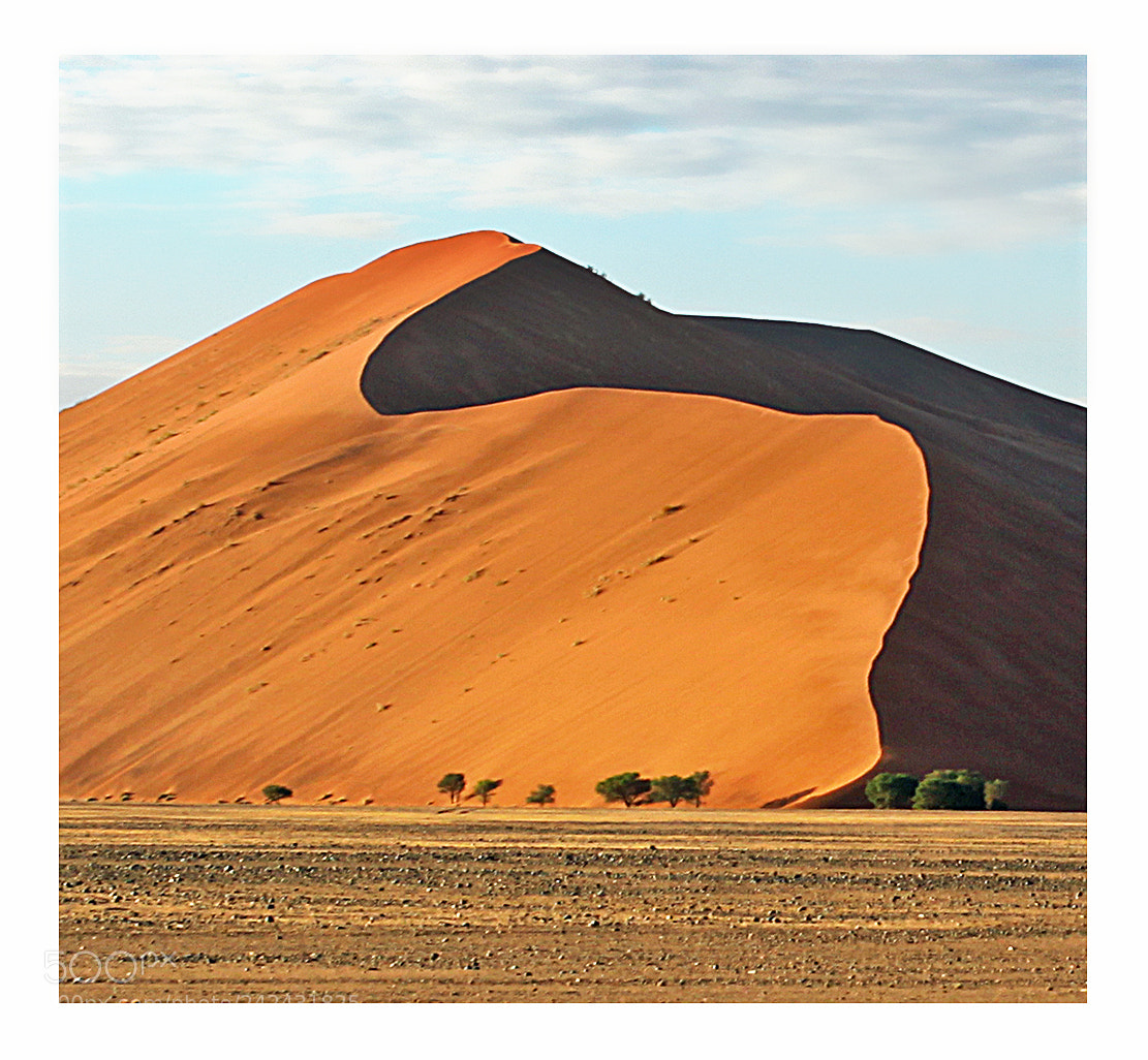 Canon EOS 50D sample photo. Dune   namibia photography