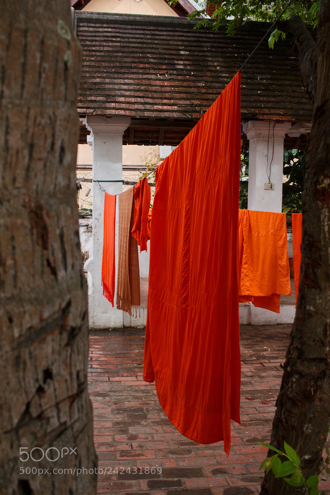 Canon EOS 1100D (EOS Rebel T3 / EOS Kiss X50) sample photo. Monk laundry day photography