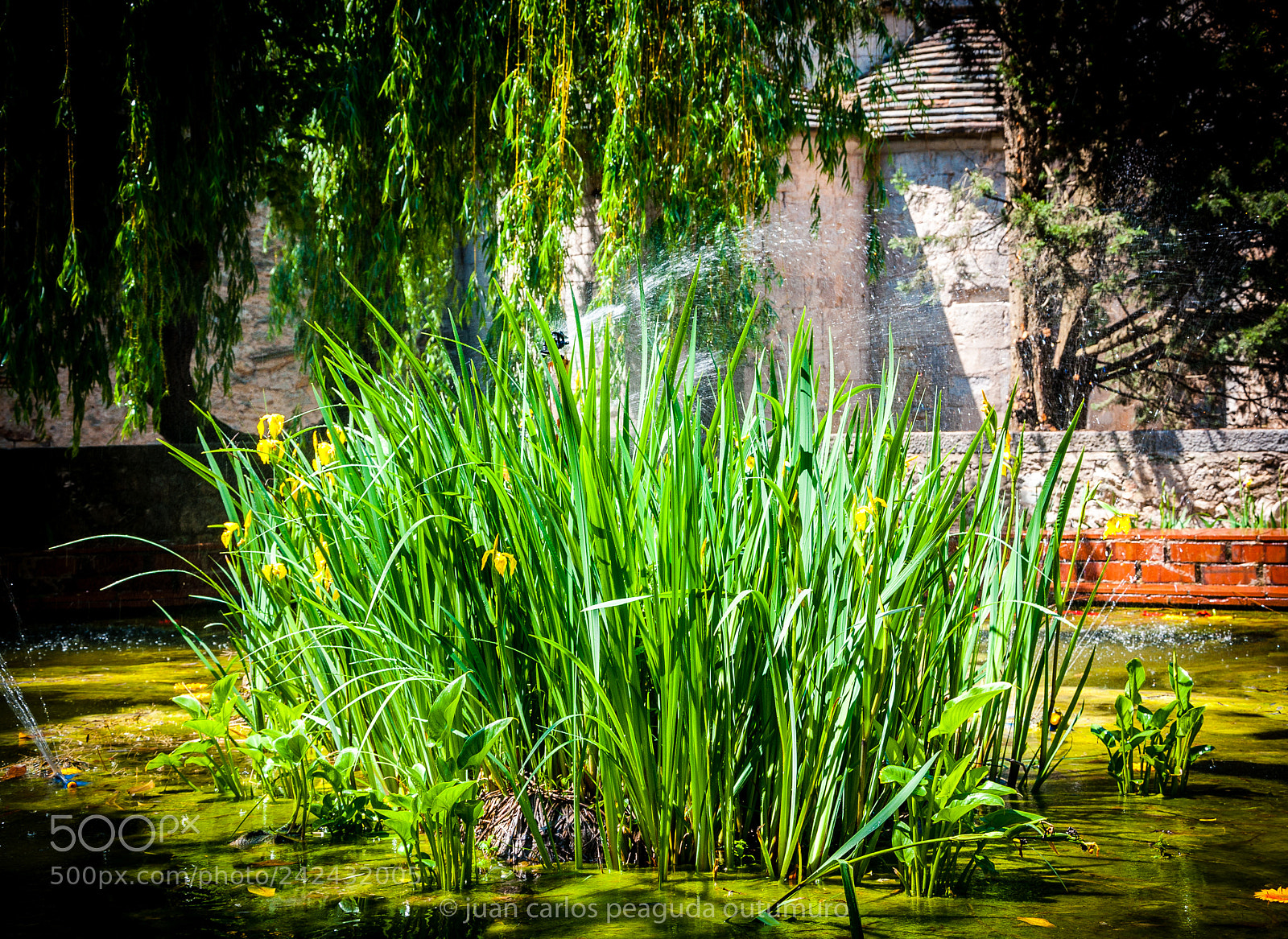 Nikon D90 sample photo. Exposición photography