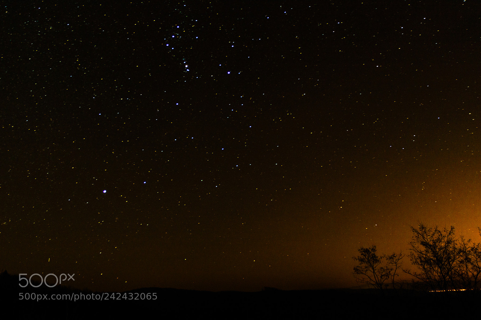 Nikon D3200 sample photo. Star shooting photography