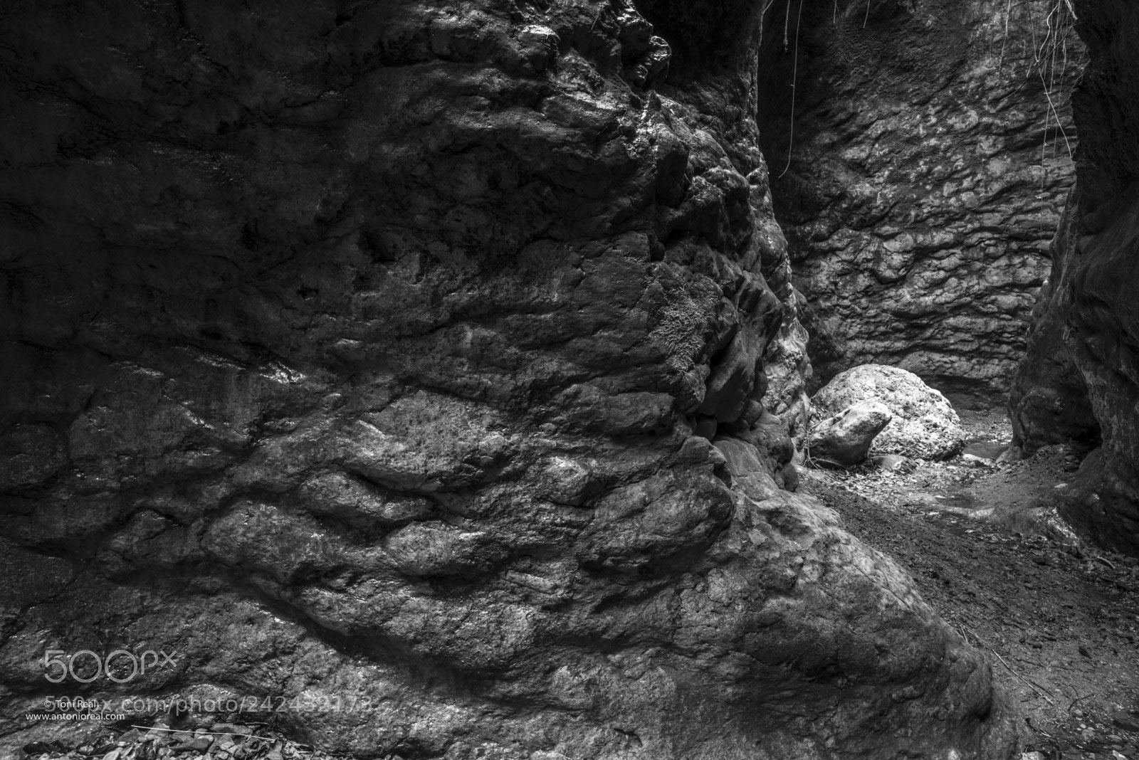 Nikon D800 sample photo. Antonio real hurtado photography