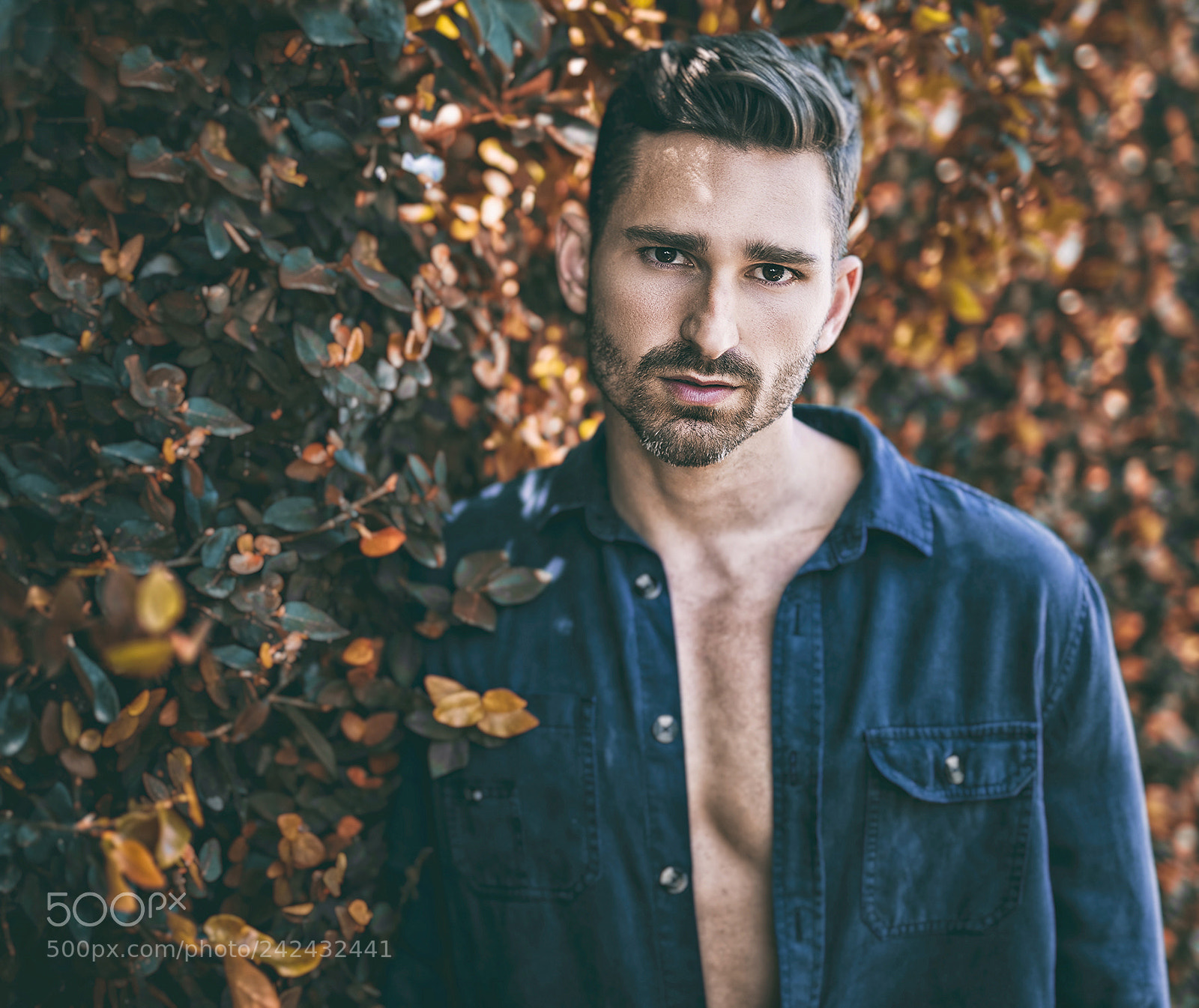 Nikon D850 sample photo. Turn seasons around photography