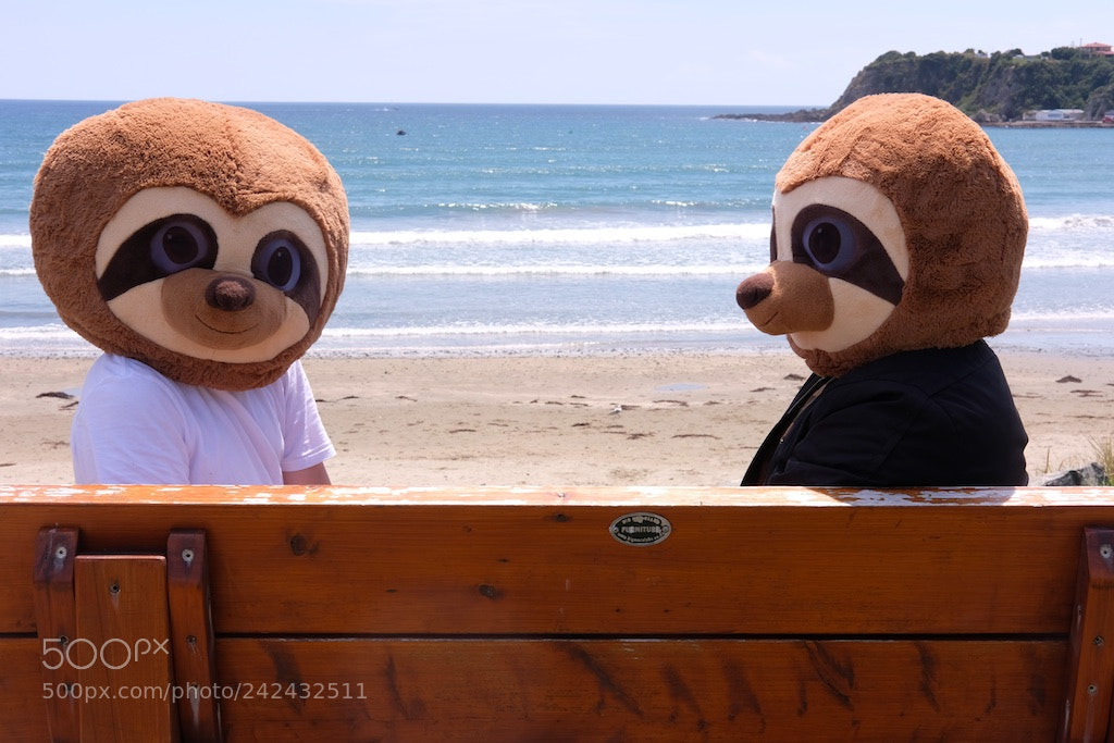 Fujifilm X-T2 sample photo. Sloths at beach photography