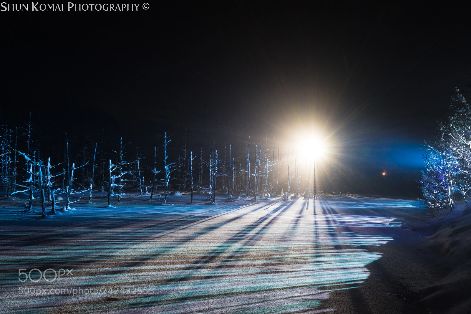 Sony a7 sample photo. Shining photography