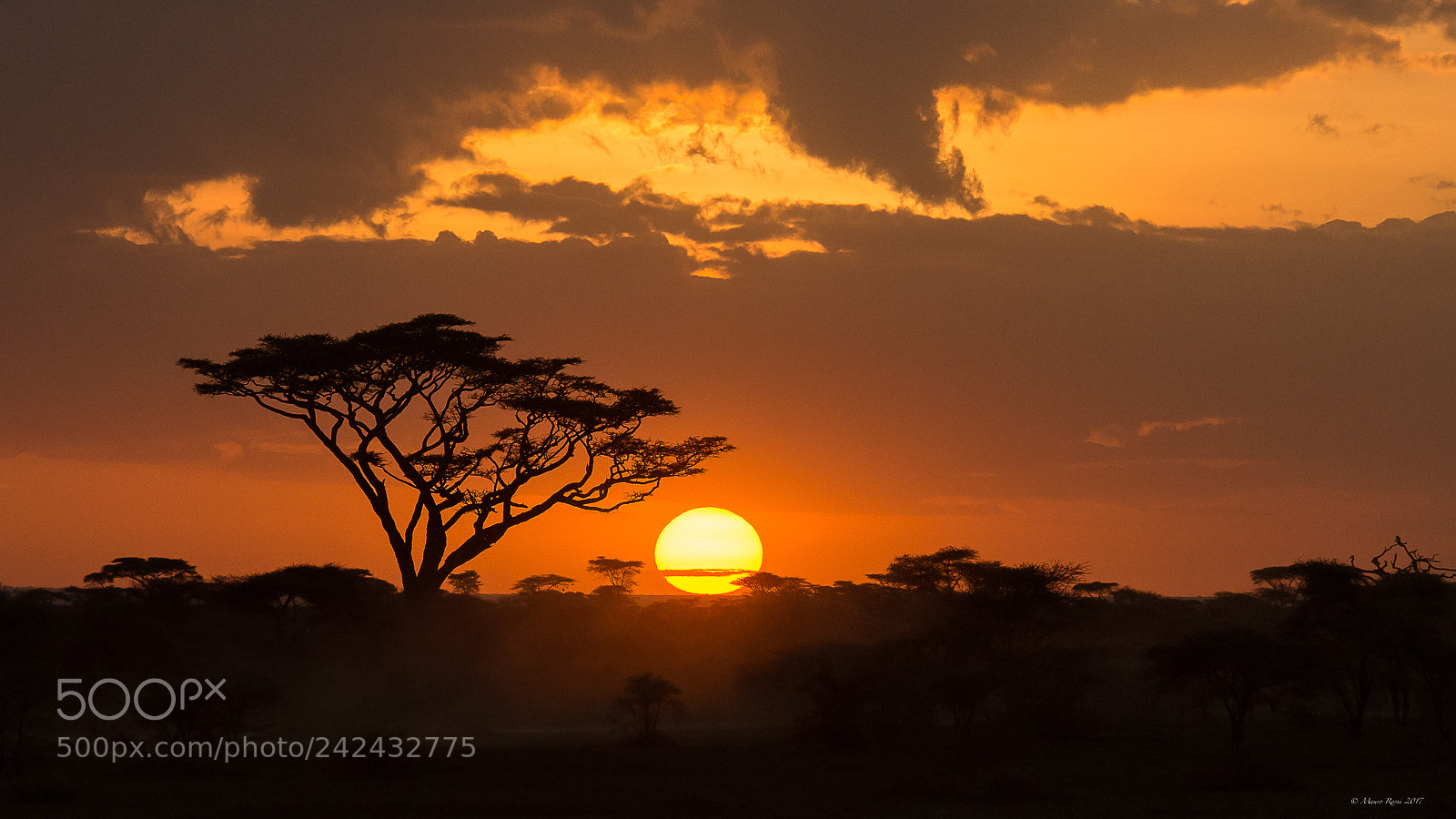 Nikon D7200 sample photo. Sunset in serengeti. photography