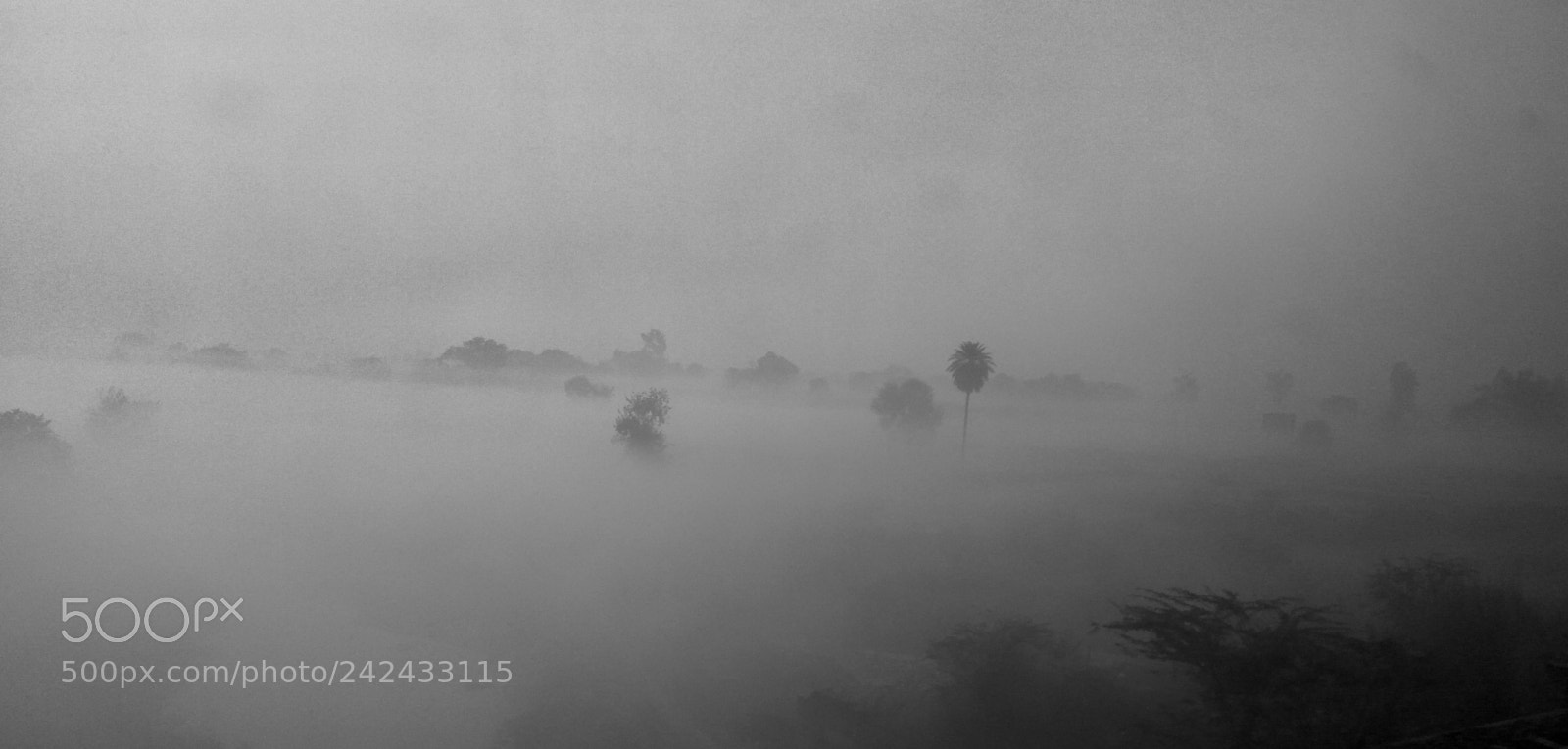 Xiaomi Redmi Note3 sample photo. Fog in winter photography