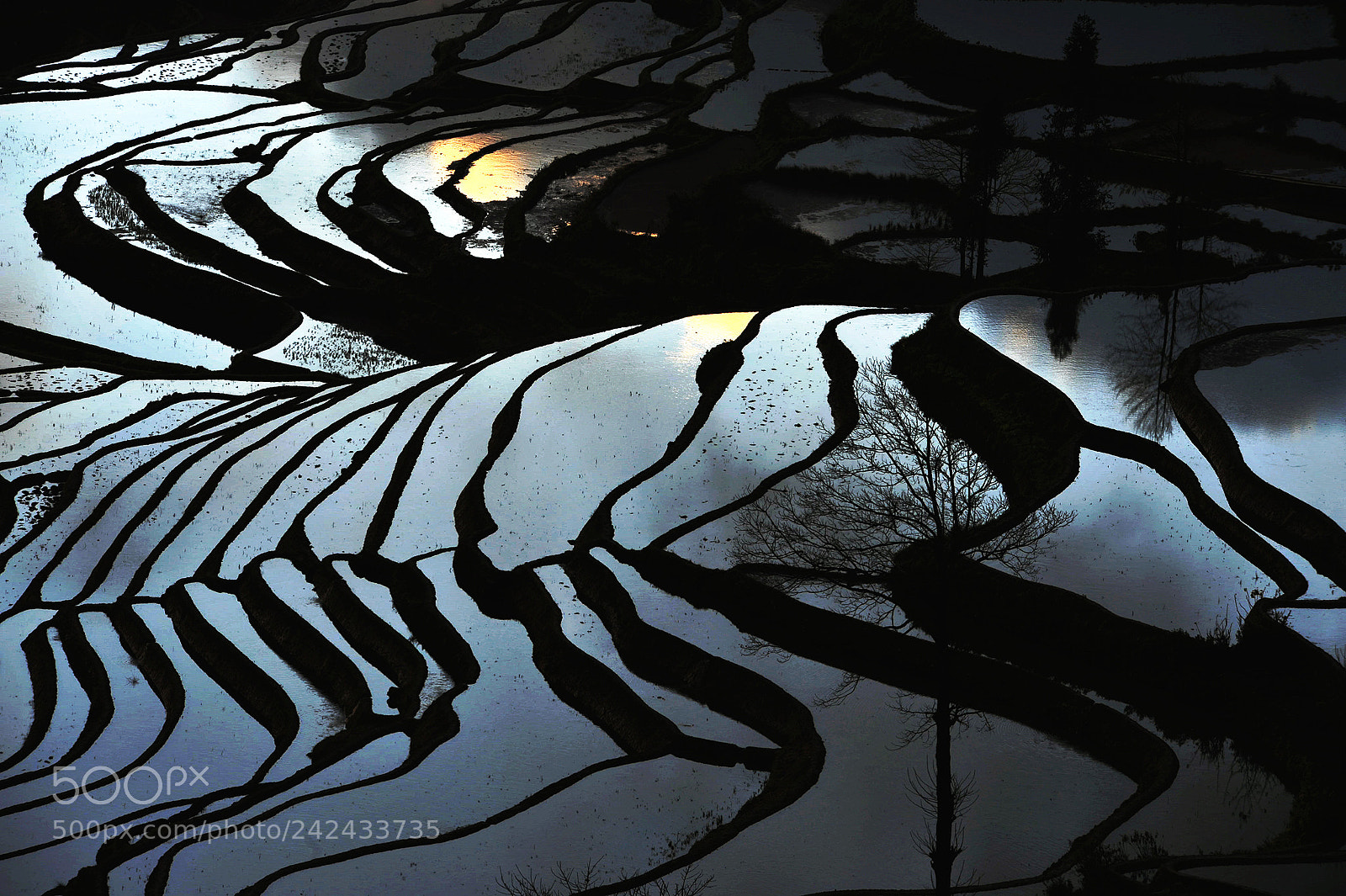 Nikon D700 sample photo. 大地的纹理 photography