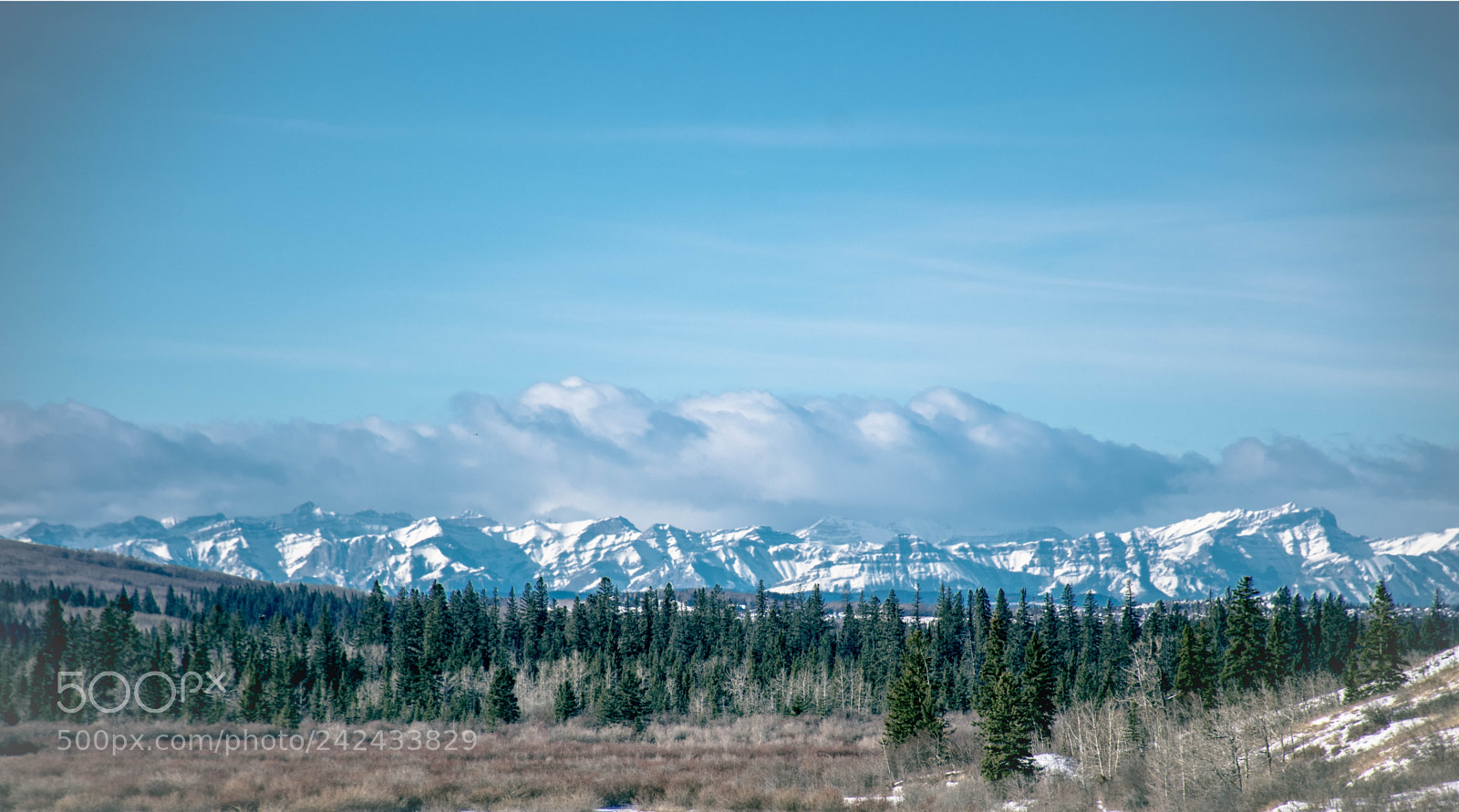Nikon D7200 sample photo. Glenmore reserve photography
