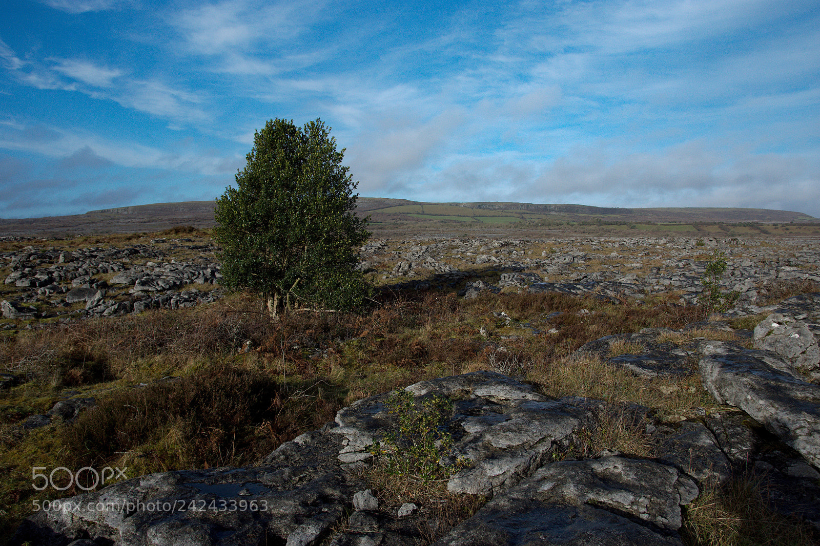 Nikon D7200 sample photo. Burren national park photography