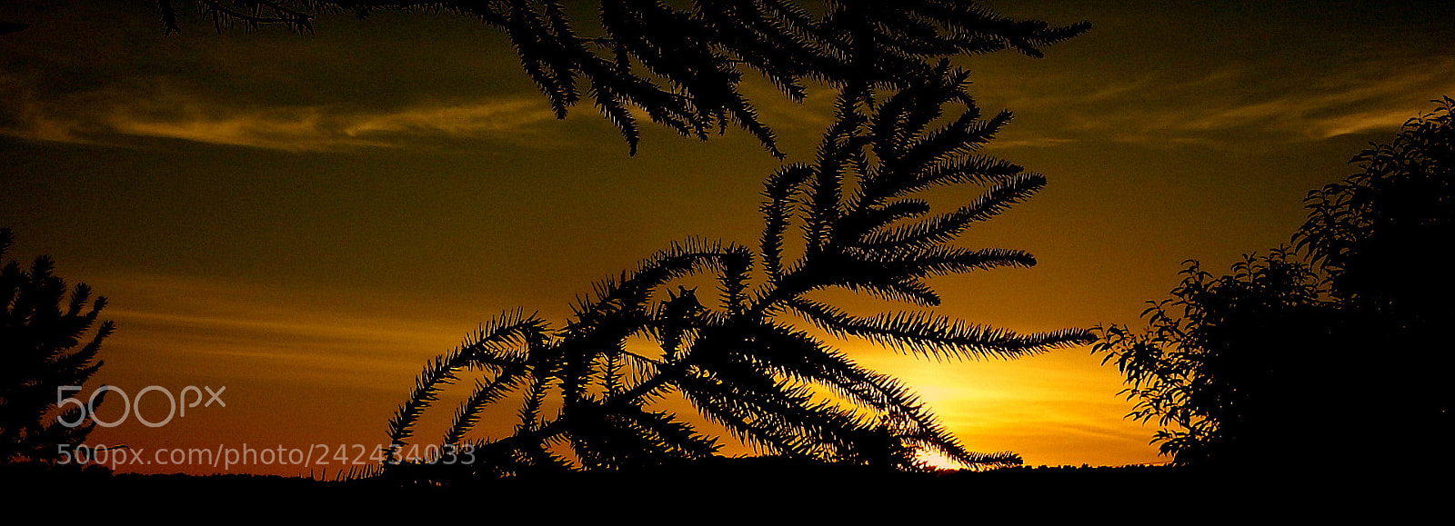 Fujifilm FinePix SL1000 sample photo. Colors in the morning ... photography