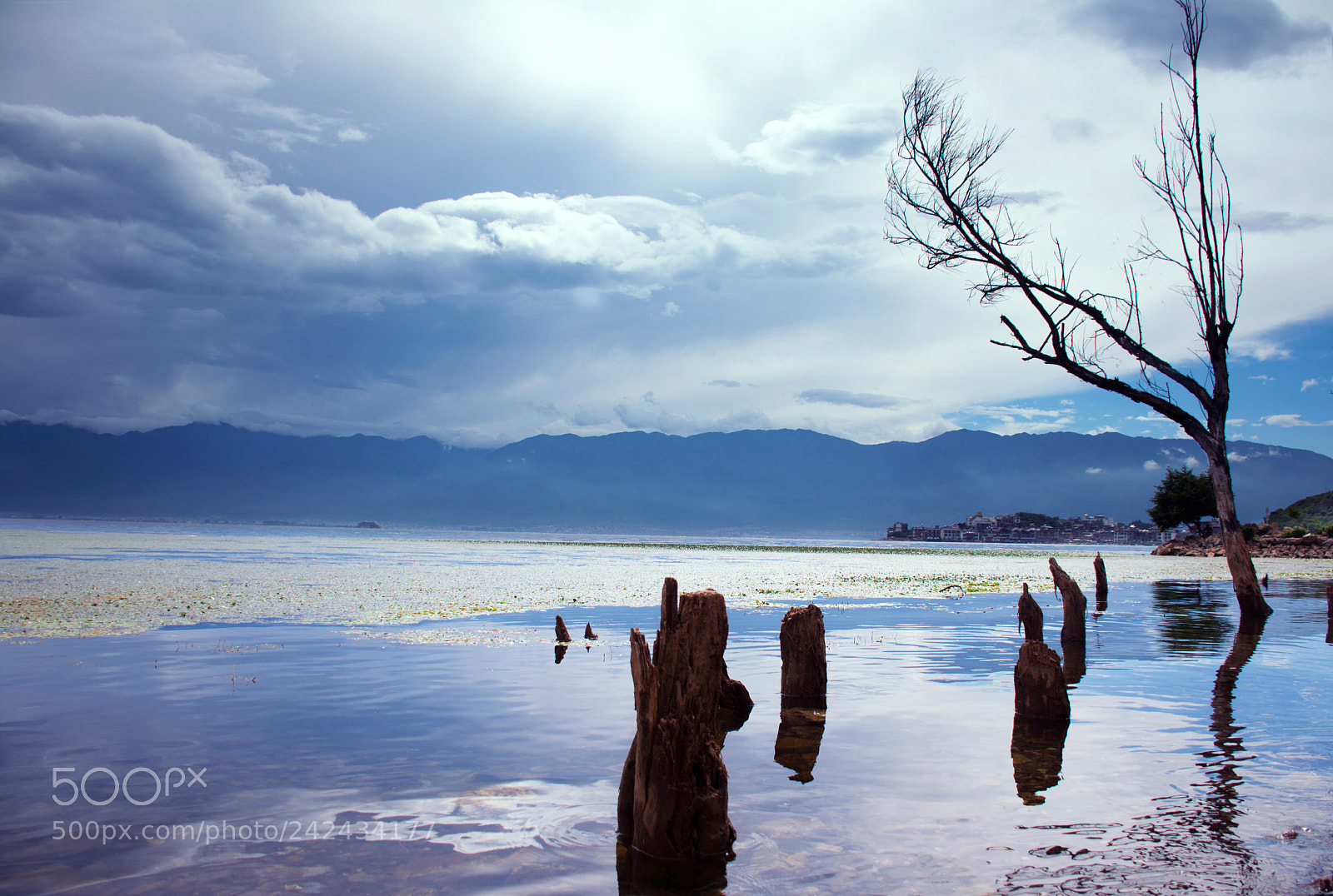 Nikon D7100 sample photo. Distance photography
