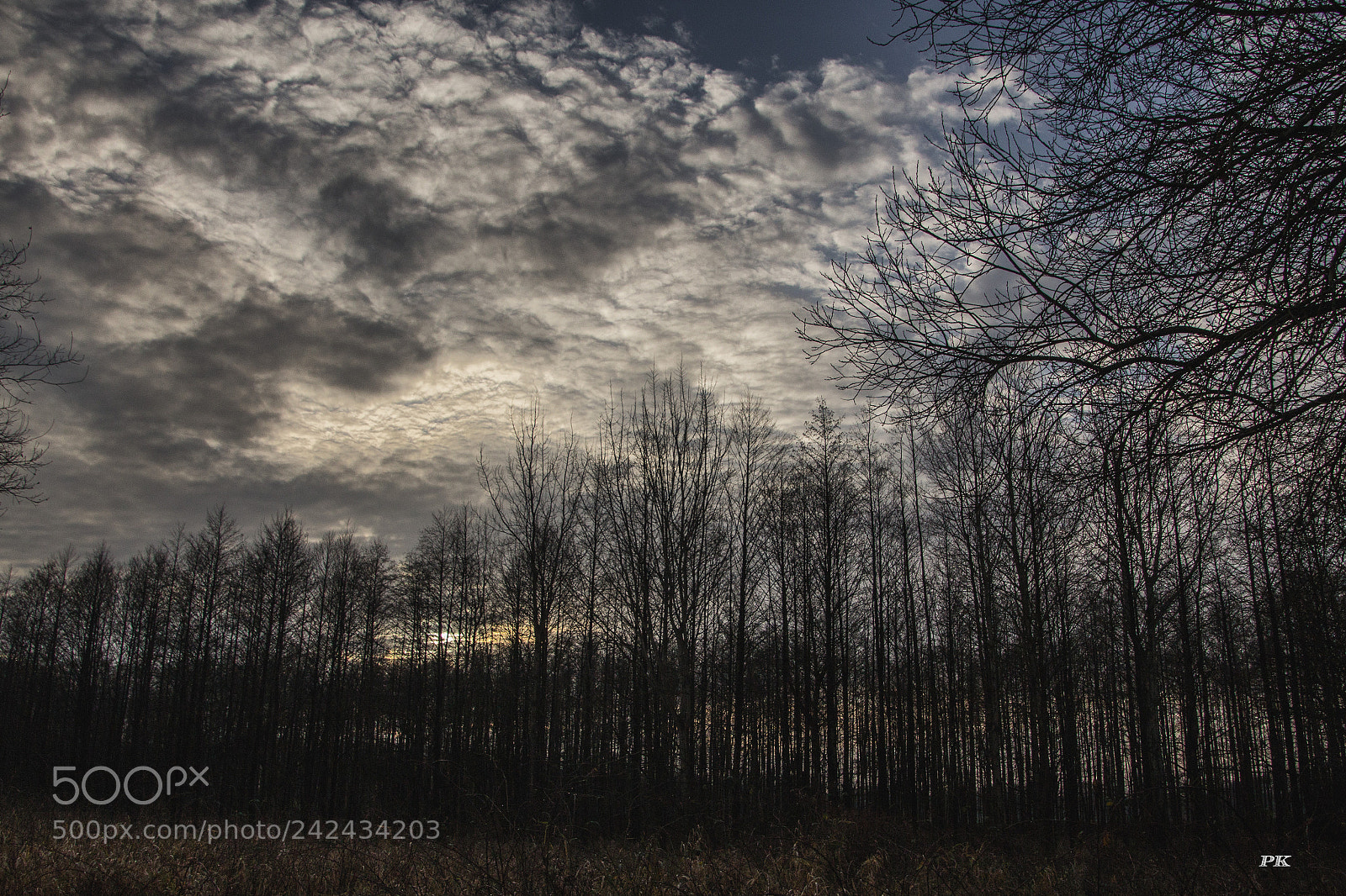 Canon EOS 60D sample photo. Winter clouds photography