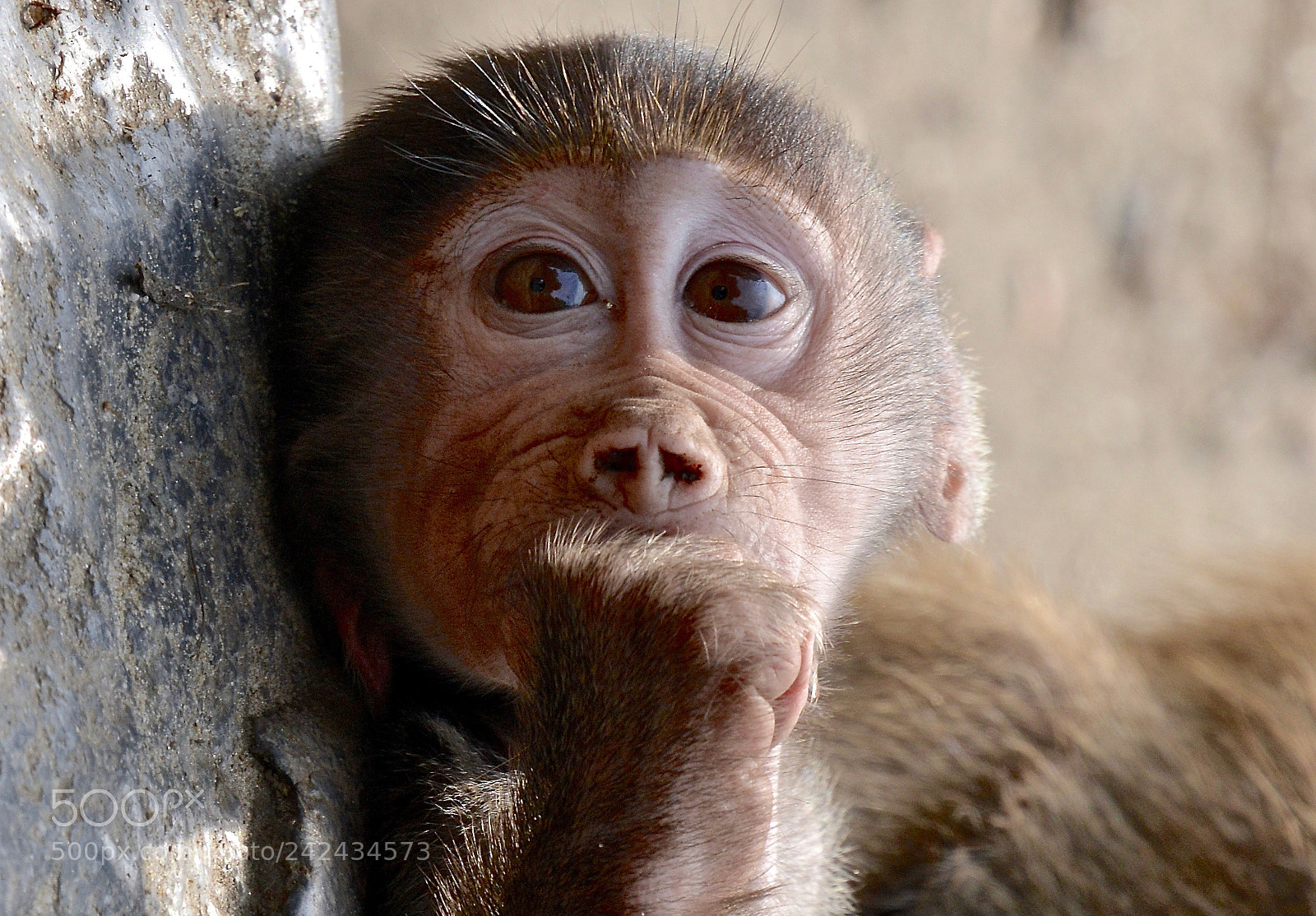 Nikon D800 sample photo. 'thinking of you....' photography