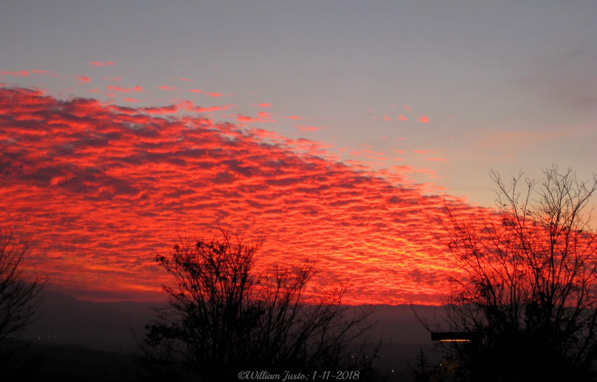 Canon PowerShot SD1100 IS (Digital IXUS 80 IS / IXY Digital 20 IS) sample photo. A fiery horizon this evening! (1-11-2018) photography