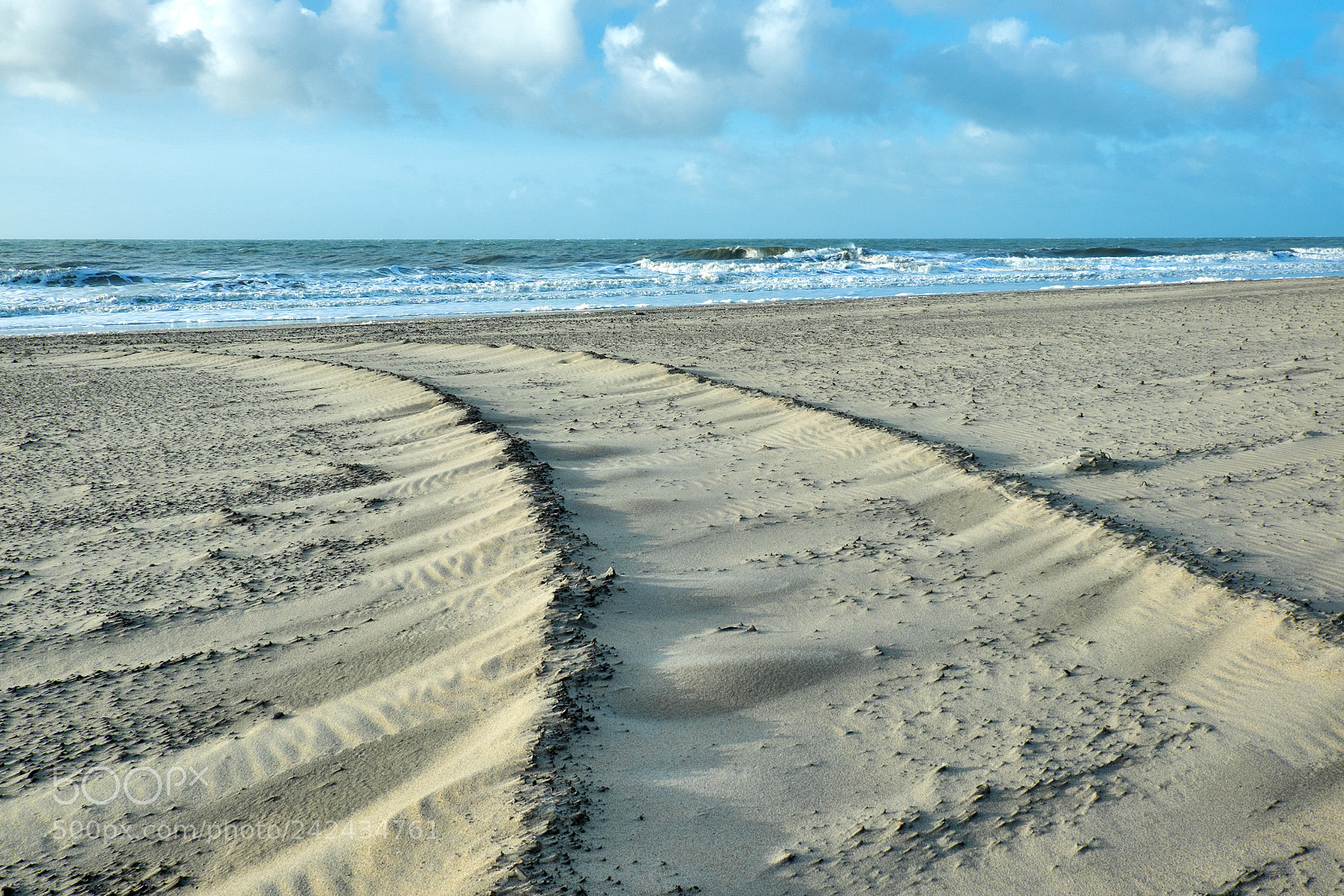 Fujifilm X-T1 sample photo. The curve on the photography
