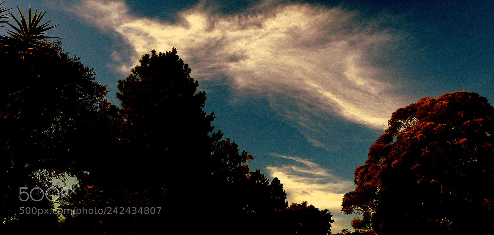Fujifilm FinePix SL1000 sample photo. Big morning ... photography