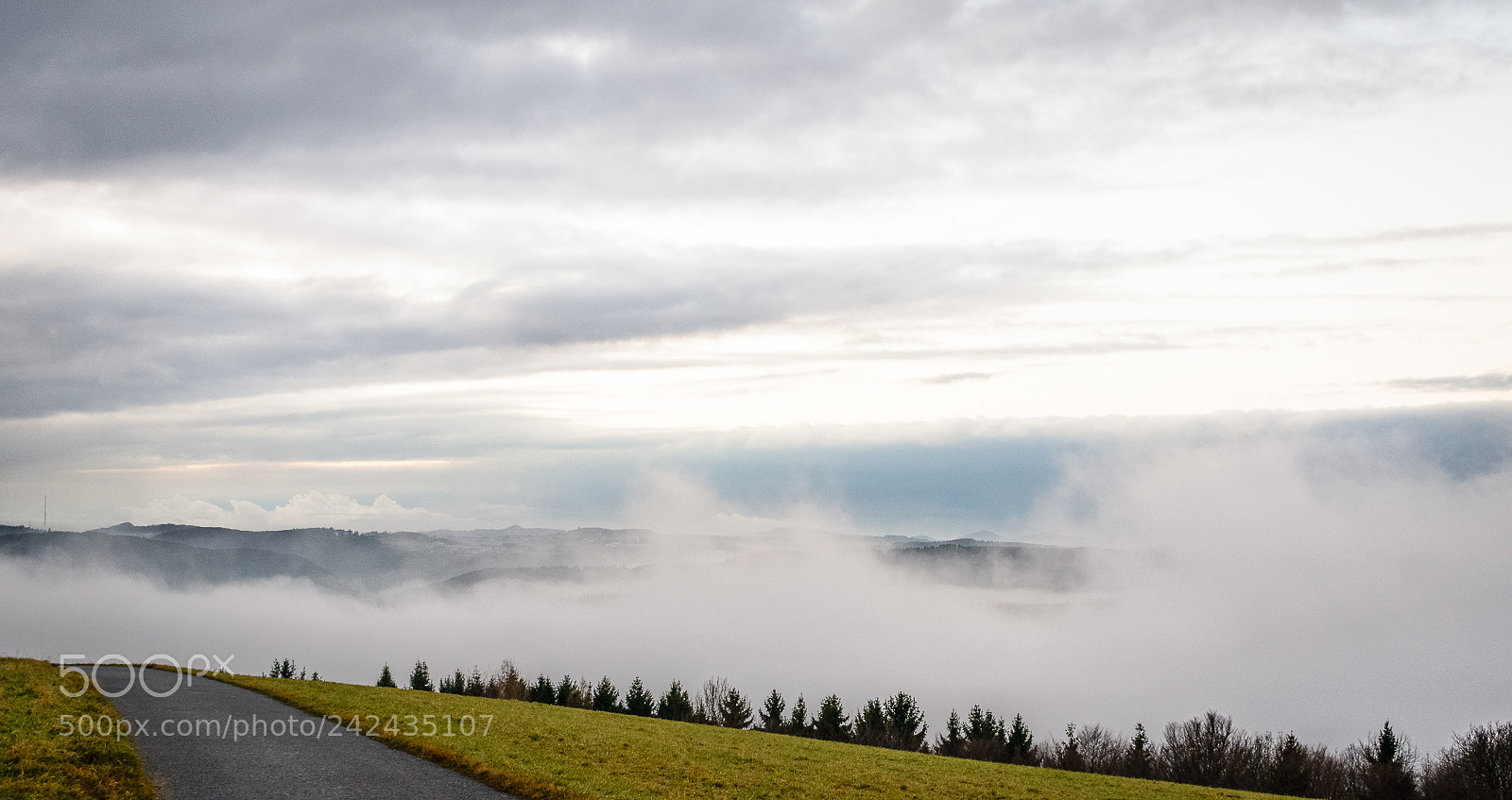 Nikon D3400 sample photo. Misty valley photography