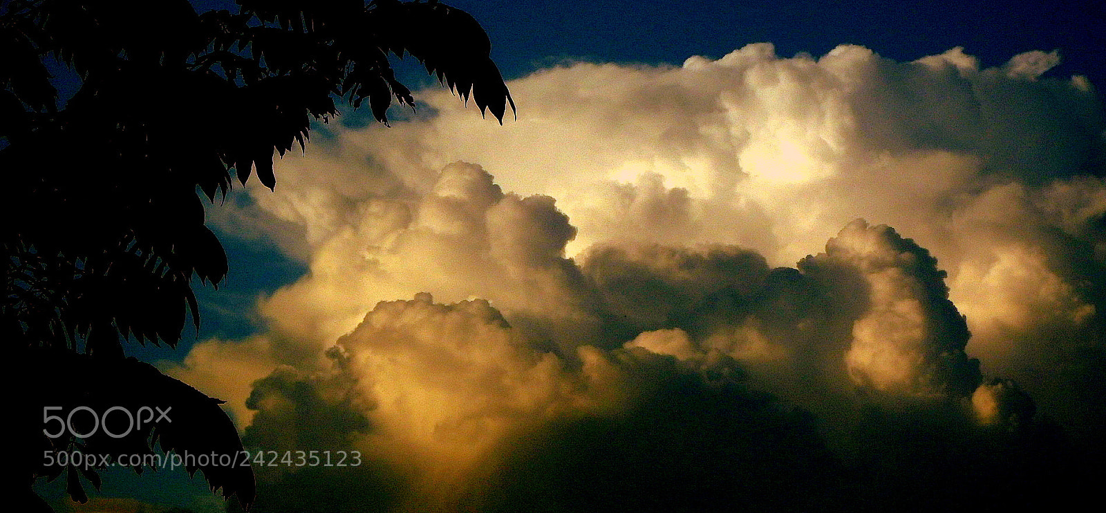 Fujifilm FinePix SL1000 sample photo. Dramatic sky photography