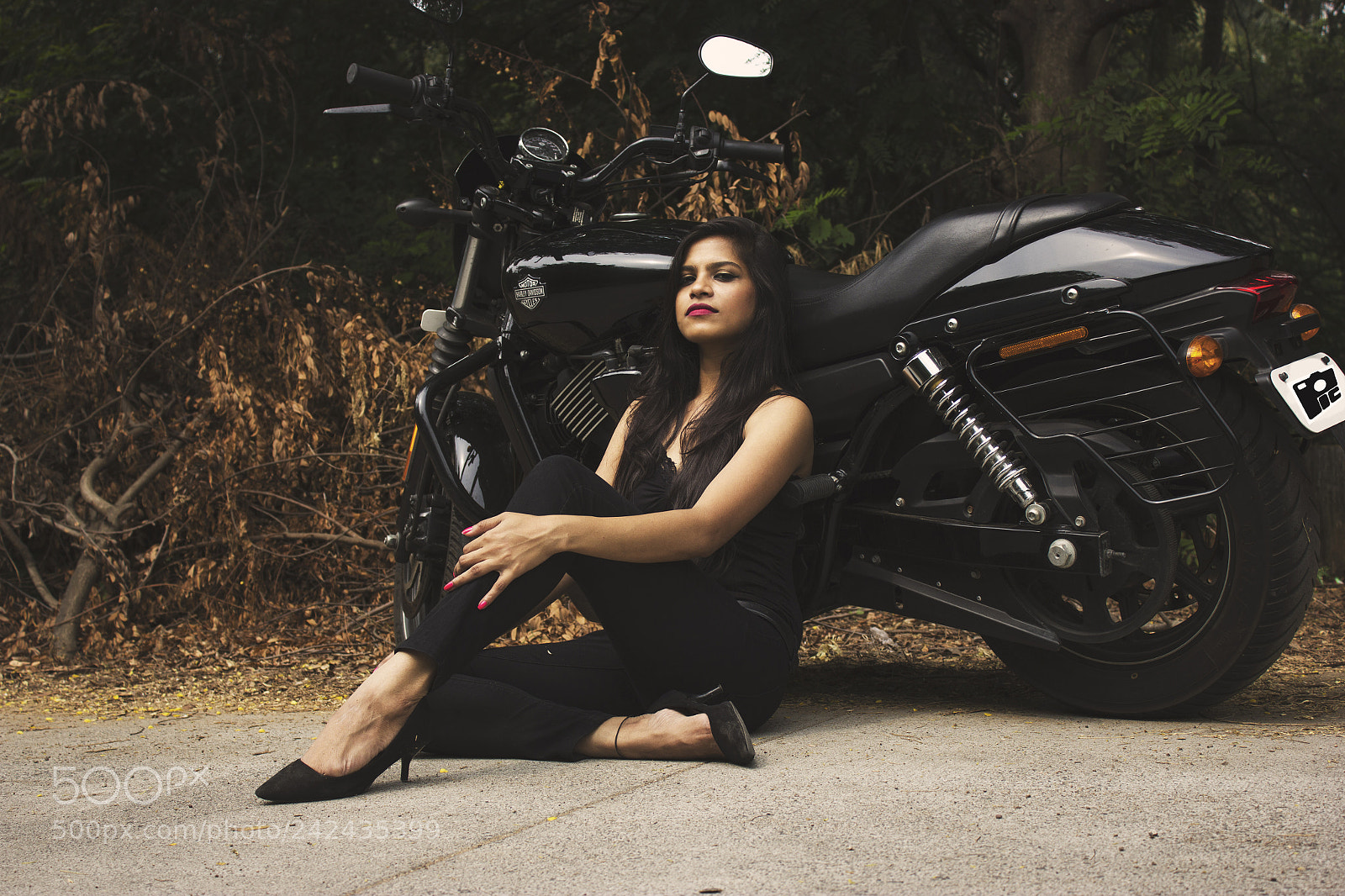 Canon EOS 550D (EOS Rebel T2i / EOS Kiss X4) sample photo. Harley davidson photography
