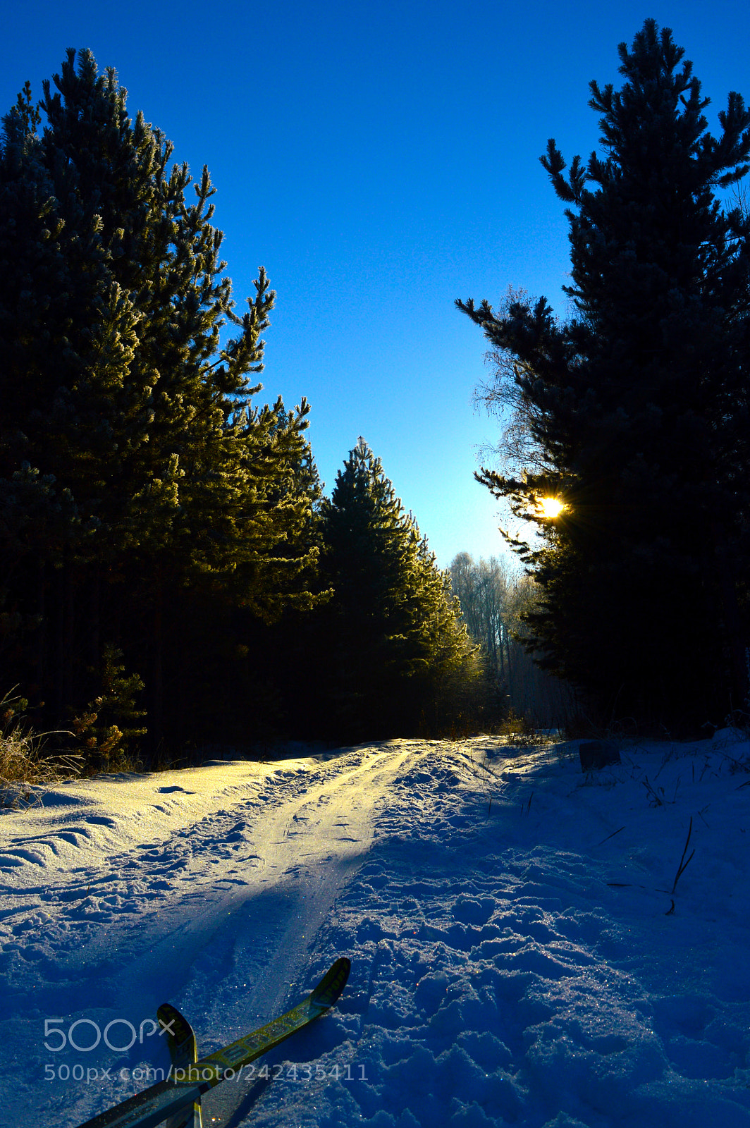 Nikon D3200 sample photo. Природа России photography