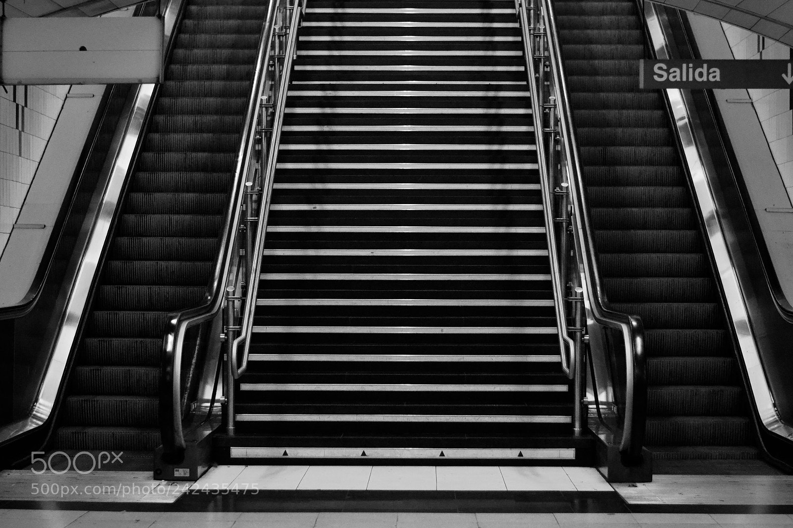 Nikon D3100 sample photo. Untitled photography