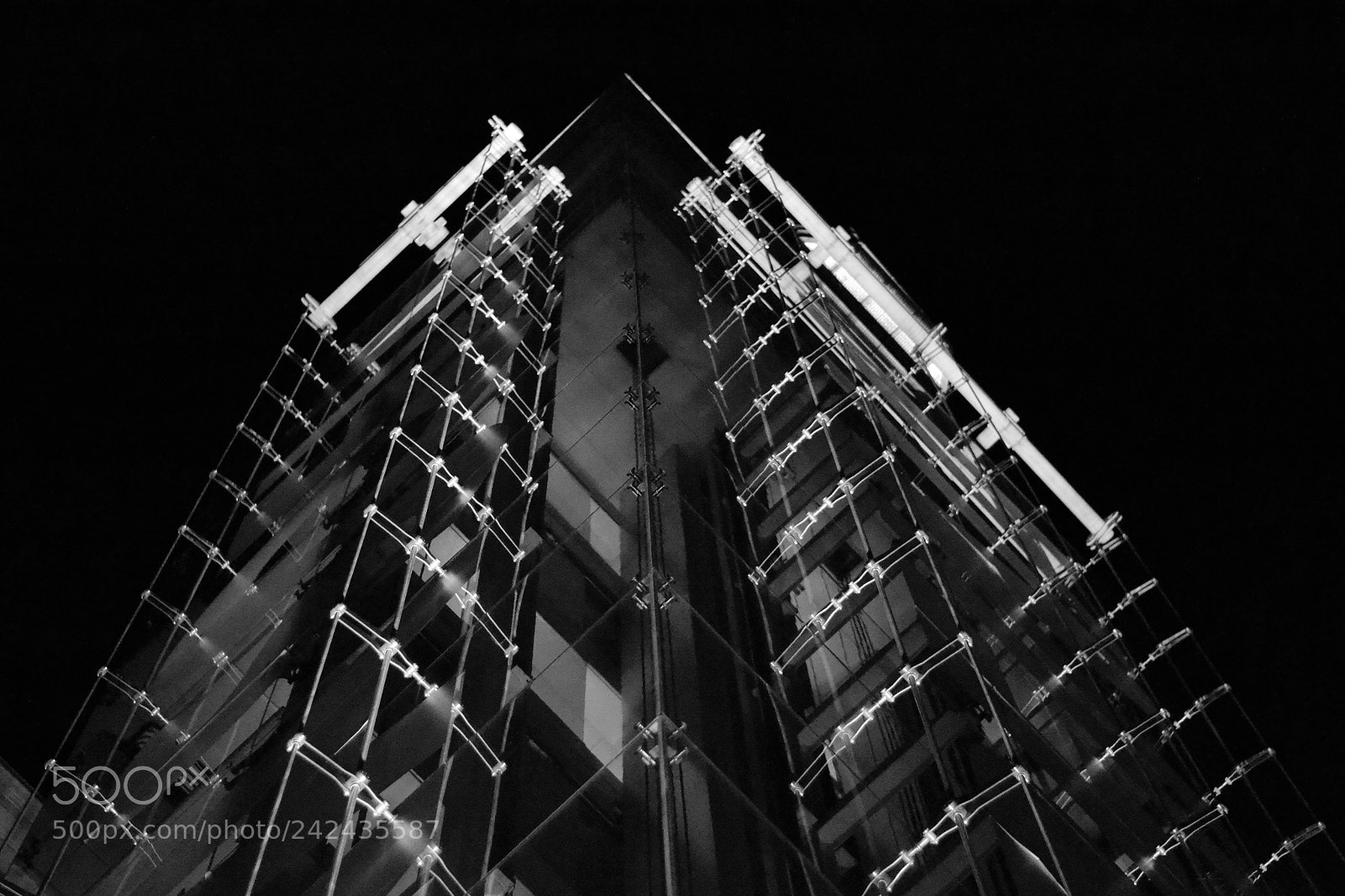Nikon D3100 sample photo. Untitled photography