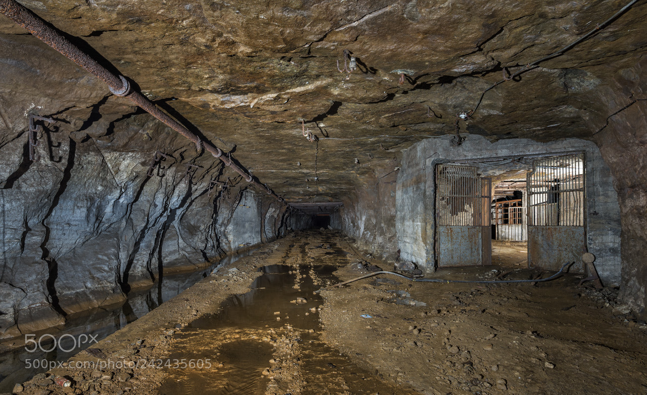 Nikon D600 sample photo. Entrance to train repair photography