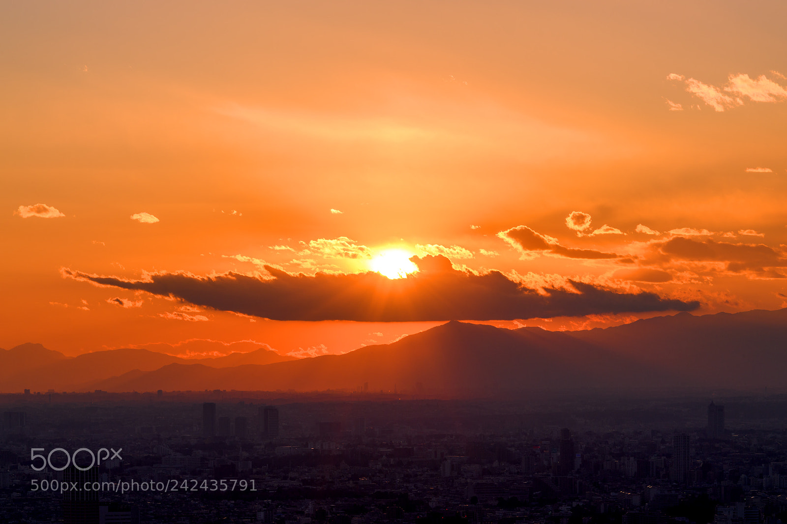 Nikon D5 sample photo. Sunset@roppongi photography