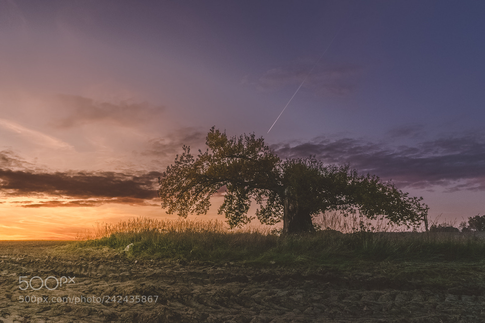 Sony a7 II sample photo. Autumn sunset photography