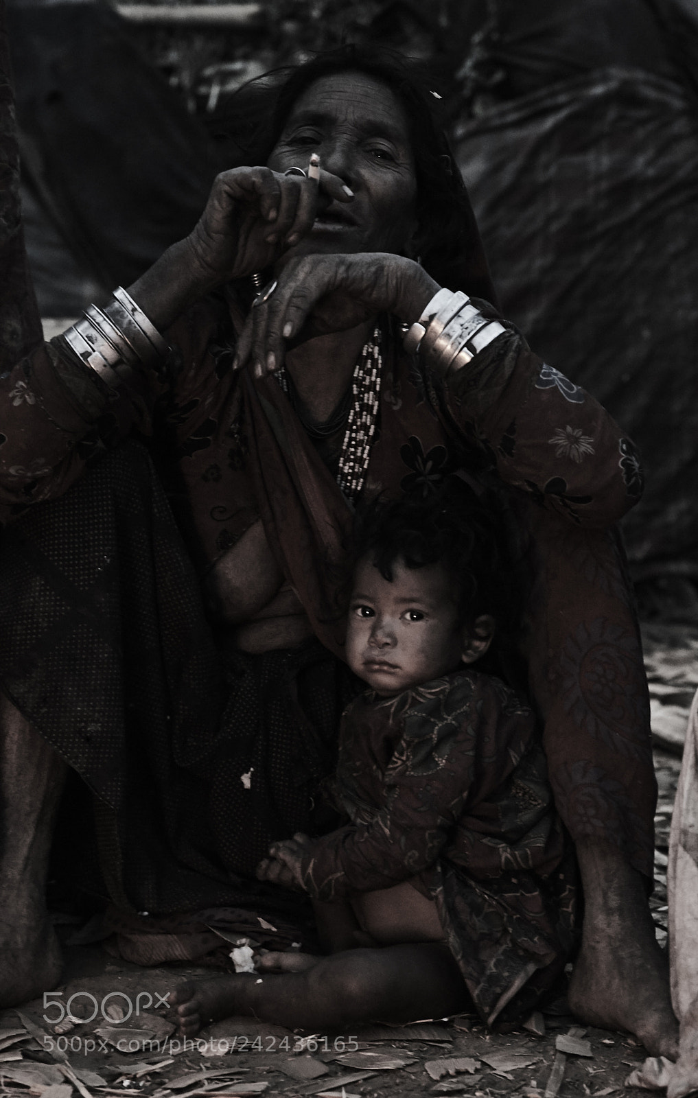 Canon EOS-1D X sample photo. The himalayan kings of photography