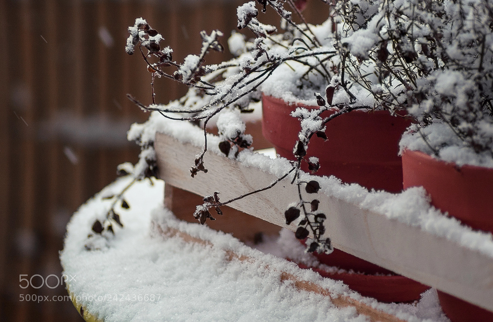 Nikon D70 sample photo. Erster schnee photography
