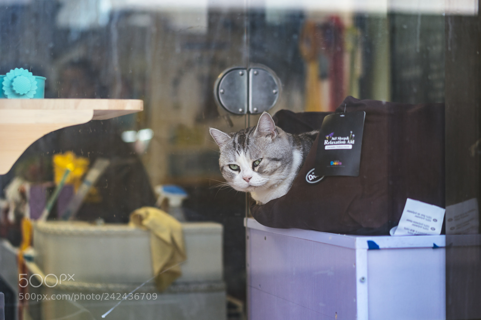 Sony a7R III sample photo. 20180114-161702_00681 photography