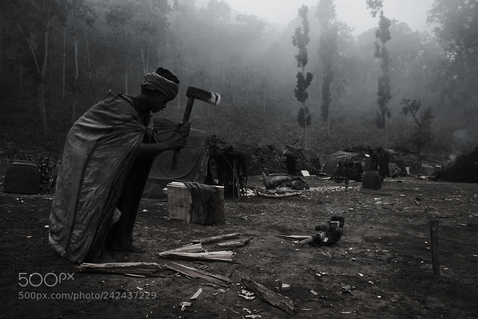 Canon EOS-1D X sample photo. The himalayan kings of photography