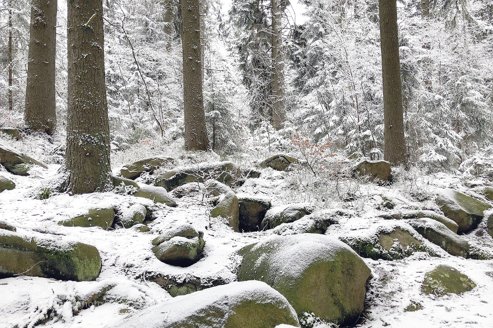 Apple iPhone X sample photo. Schierke/ harz photography