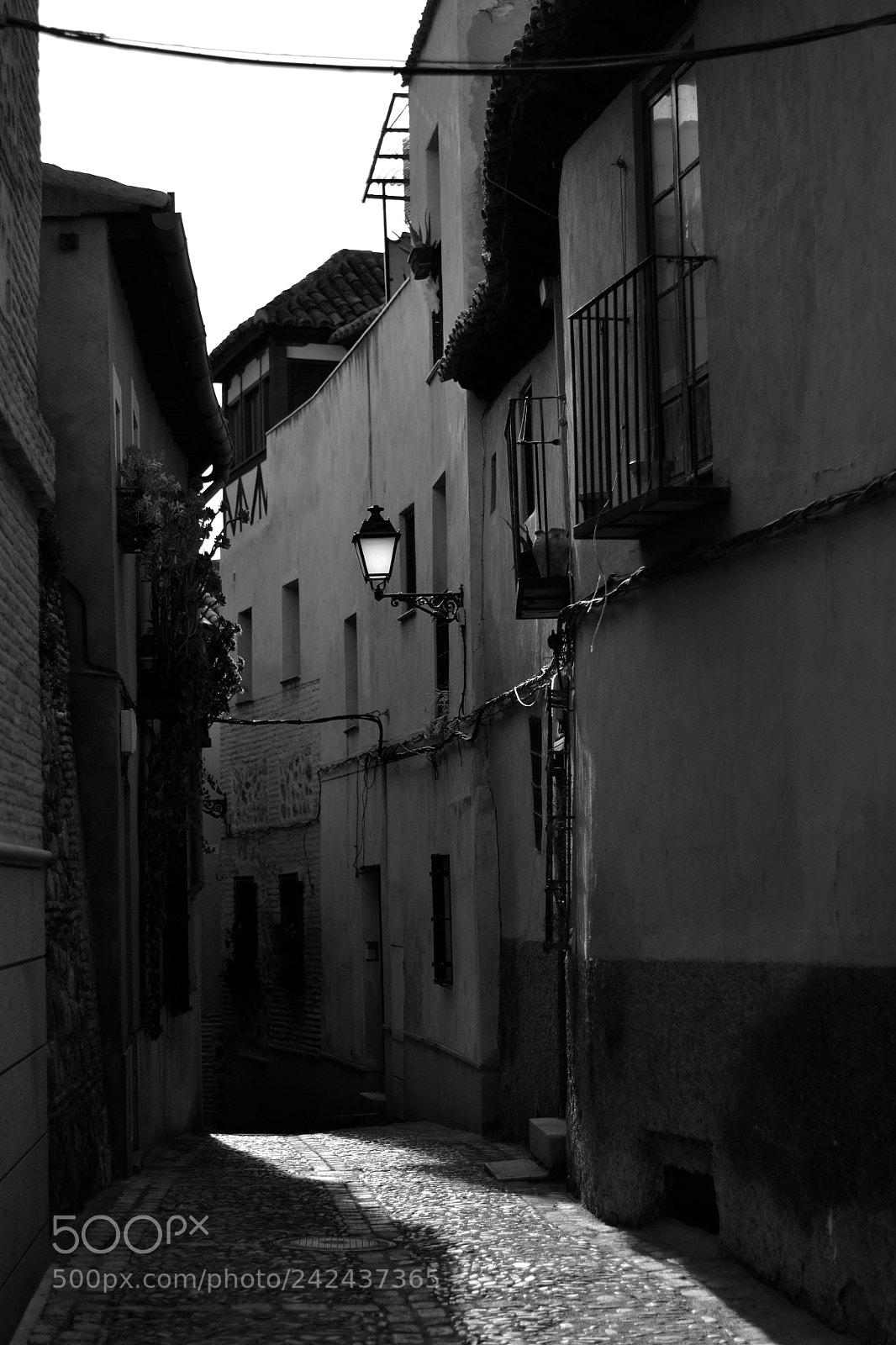 Nikon D3100 sample photo. Untitled photography