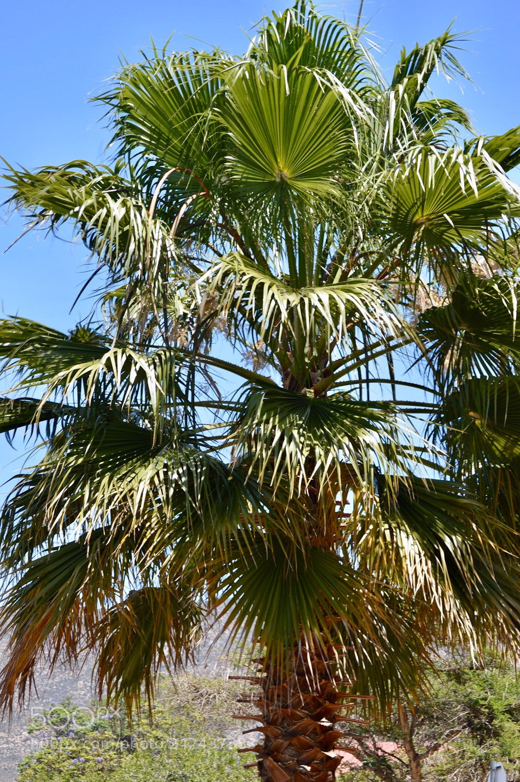 Nikon D3200 sample photo. Untitled photography