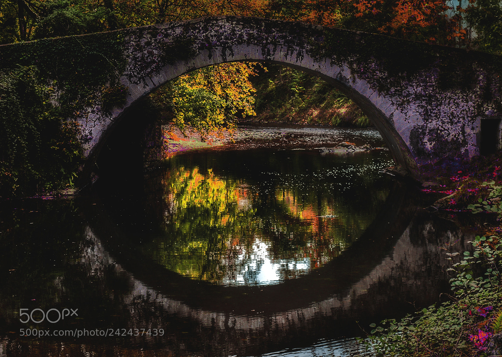 Nikon D3200 sample photo. Auge photography
