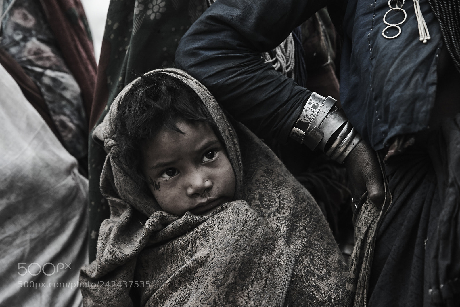 Canon EOS-1D X sample photo. The himalayan kings of photography