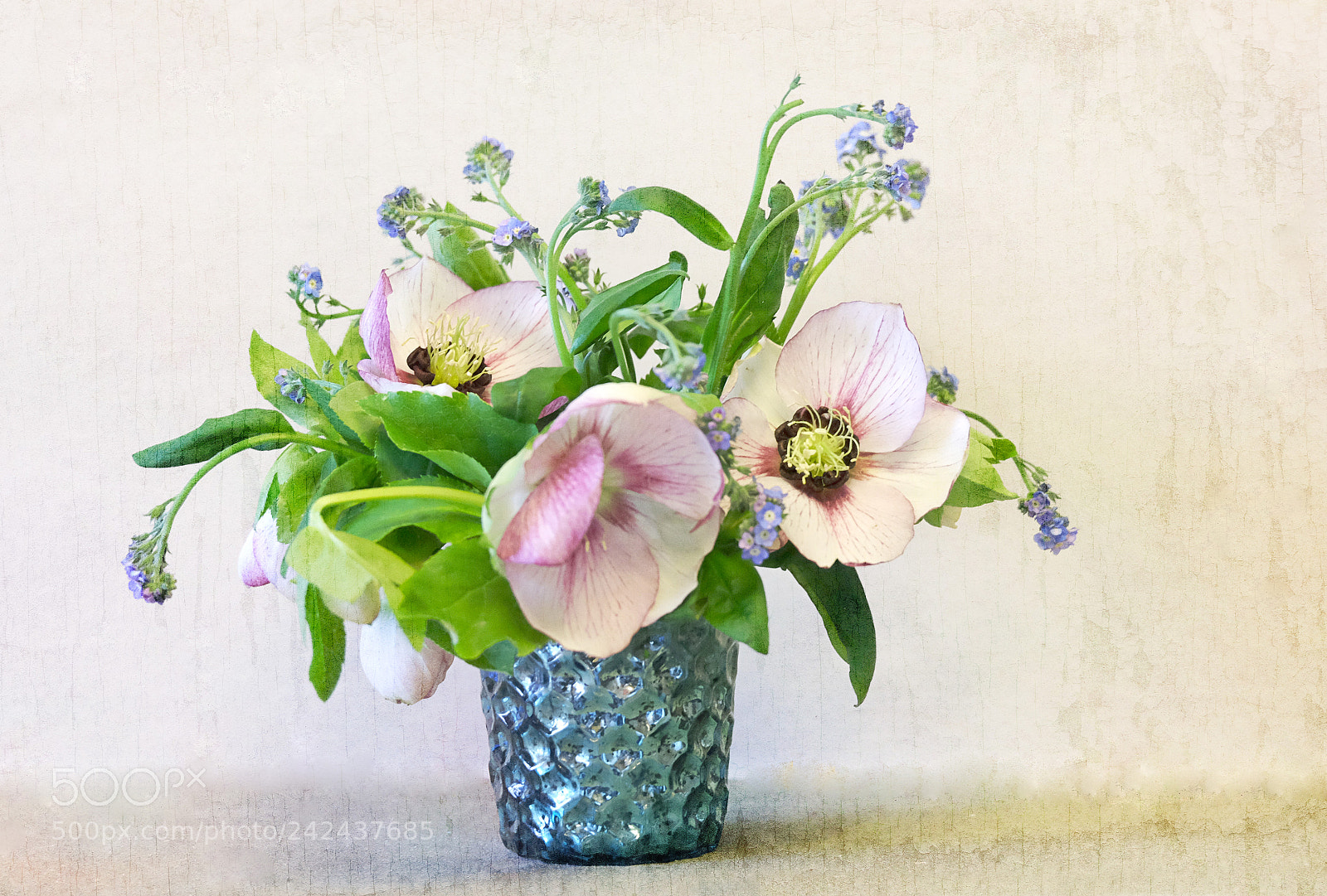 Fujifilm X-T10 sample photo. Heleborine in blue vase photography